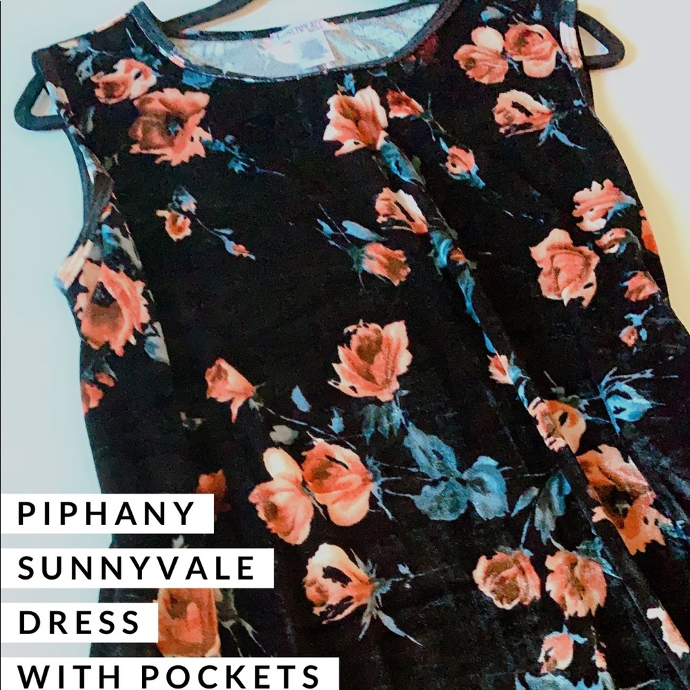 Piphany Velvet Sunnyvale Dress